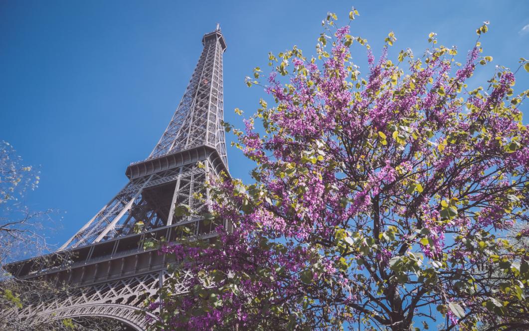 tour Eiffel depuis le quai Branly (c) Emeric Livinec