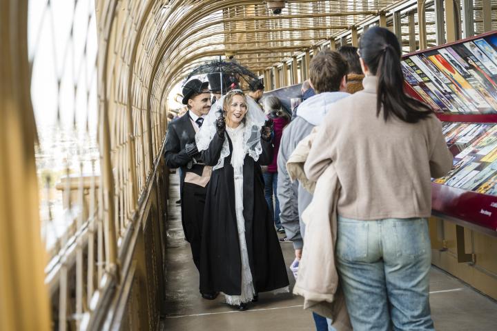 SETE - Marciella Barbieri