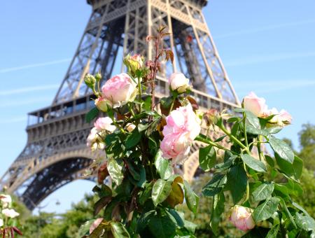 Vue depuis les jardins