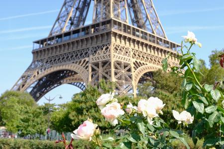 Vue tour Eiffel avec fleurs