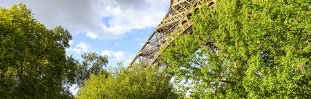 Photo de la tour Eiffel depuis les jardins