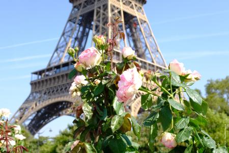 Vue depuis les jardins