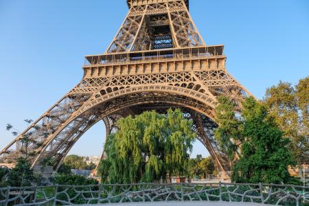 tour Eiffel depuis jardin